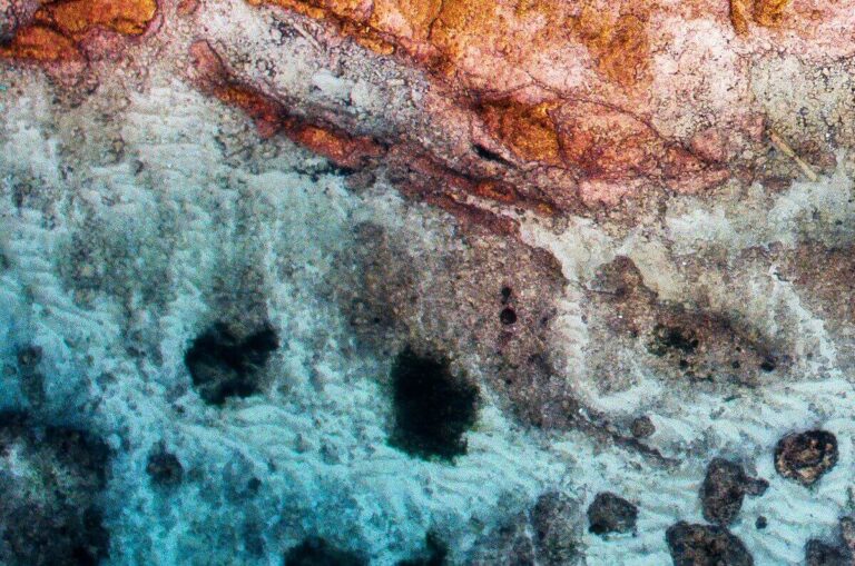 Environmental Services in Dubai Revolutionised by Drone Photography